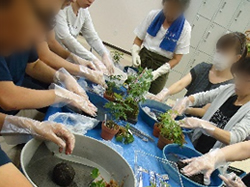 園芸教室の様子